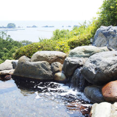 Hotel & Resorts WAKAYAMA-KUSHIMOTO Кусимото с домашними животными
