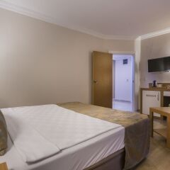 Lonicera City Hotel комната для гостей фото 5