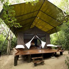 Отель Wild Trails Yala Tented Safari Camp By Yoho фото 12