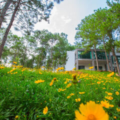 Terracotta Hotel & Resort Dalat фото 16
