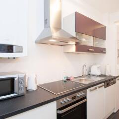 Отель Royal Resort Apartments Puchsbaumgasse Австрия, Вена - отзывы, цены и фото номеров - забронировать отель Royal Resort Apartments Puchsbaumgasse онлайн в номере фото 2