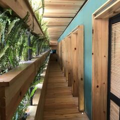 The Foodie Hostel Мехико интерьер отеля