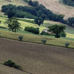 Отель Agriturismo Il Gelso Antico Италия, Реканати - отзывы, цены и фото номеров - забронировать отель Agriturismo Il Gelso Antico онлайн фото 8