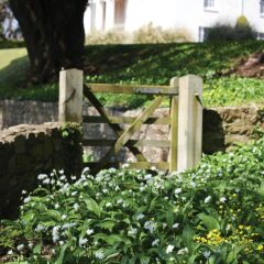 Best Western Lamphey Court Hotel and Spa фото 7