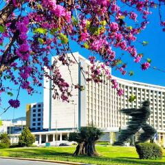 Отель Hilton Athens детские мероприятия