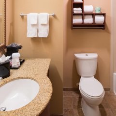 Hampton Inn & Suites Rifle in Silt, United States of America from 223$, photos, reviews - zenhotels.com bathroom