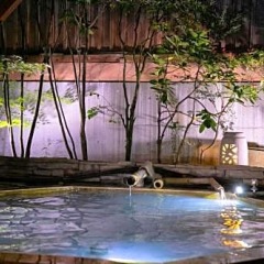 Отель Yufuin Ryokan Seikoen Хидзи фото 8