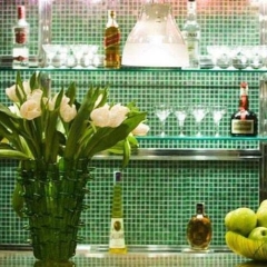 Hotel Ambassador Tre Rose с домашними животными