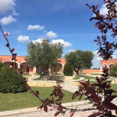 Hotel Relais Antica Masseria Конверсано спортивное сооружение