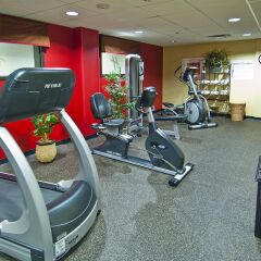 Отель Holiday Inn Vicksburg США, Виксбург - отзывы, цены и фото номеров - забронировать отель Holiday Inn Vicksburg онлайн фитнесс-зал фото 2
