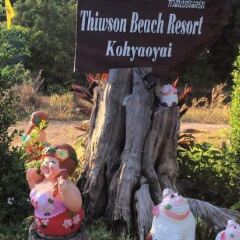 Отель Thiwson Beach Resort