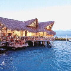 Отель Tortuga Bay Доминикана, Пунта Кана - отзывы, цены и фото номеров - забронировать отель Tortuga Bay онлайн приотельная территория