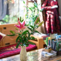 Отель An Bang Beach Nature Homestay Вьетнам, Хойан - отзывы, цены и фото номеров - забронировать отель An Bang Beach Nature Homestay онлайн интерьер отеля