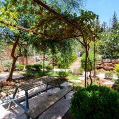Отель Tur Sinai Organic Farm Resort Иерусалим фото 23