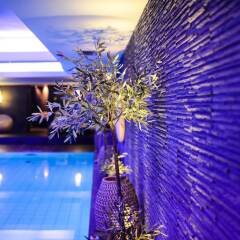 Hotel Bristol, A Luxury Collection Hotel, Warsaw бассейн фото 2