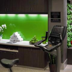 Отель Sofitel Montreal Golden Mile Канада, Монреаль - отзывы, цены и фото номеров - забронировать отель Sofitel Montreal Golden Mile онлайн фитнесс-зал