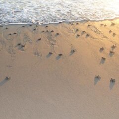 Отель Estrella del Mar пляж фото 2