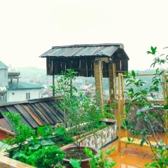 The Link Homestay Hostel Шапа бассейн