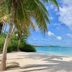 Отель Ocean Vibes Guesthouse Мальдивы, Северный атолл Мале - отзывы, цены и фото номеров - забронировать отель Ocean Vibes Guesthouse онлайн пляж фото 2