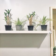 Kinnon Hostel Бангкок спа фото 2