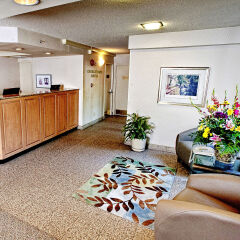 Отель Georgetown Suites Harbour США, Вашингтон - отзывы, цены и фото номеров - забронировать отель Georgetown Suites Harbour онлайн комната для гостей фото 2