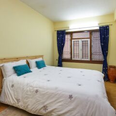 Отель Kathmandu Nomad Apartment Непал, Катманду - отзывы, цены и фото номеров - забронировать отель Kathmandu Nomad Apartment онлайн комната для гостей фото 3