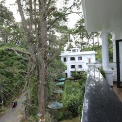 Moonstone Hotel Далат балкон