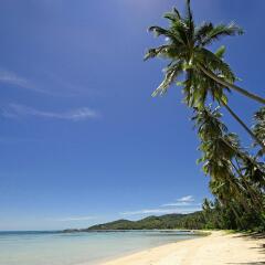 Отель Mercure Samui Chaweng Tana пляж