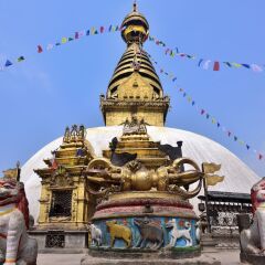 Отель Kathmandu Marriott Hotel Непал, Катманду - отзывы, цены и фото номеров - забронировать отель Kathmandu Marriott Hotel онлайн спортивное сооружение