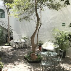 Casa Monraz Hotel Boutique y Galería фото 8