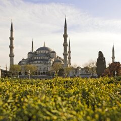 The Galata Istanbul Hotel Mgallery by Sofitel фото 6