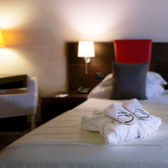 CDH Hotel Parma & Congressi Парма комната для гостей