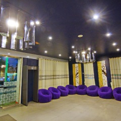 Perfect Hotel развлечения