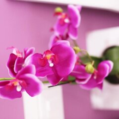 Отель Iris Room спа