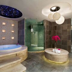 Отель Sofitel Macau At Ponte 16 сауна