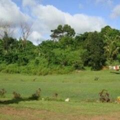 Отель Nalesutale Village Lodges Фиджи, Вити-Леву - отзывы, цены и фото номеров - забронировать отель Nalesutale Village Lodges онлайн фото 2