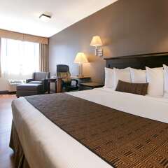 Отель Best Western Plus Dragon Gate Inn США, Лос-Анджелес - отзывы, цены и фото номеров - забронировать отель Best Western Plus Dragon Gate Inn онлайн комната для гостей фото 2