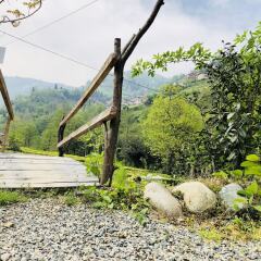 Отель Tabiat Bungalows Чамлыхемшин фото 14