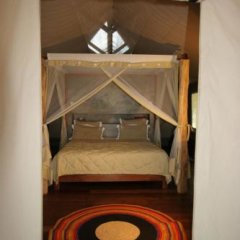 Eden Lodge in Djamandjary, Madagascar from 269$, photos, reviews - zenhotels.com room amenities photo 2