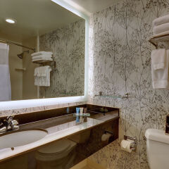 Отель Crowne Plaza Washington National Airport США, Арлингтон - отзывы, цены и фото номеров - забронировать отель Crowne Plaza Washington National Airport онлайн ванная