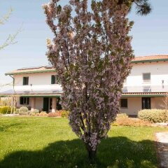 Отель Villa Pinella Прамаджоре фото 8