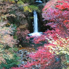 Отель Kashiwaya Ryokan Shima Onsen фото 10
