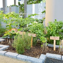 Отель PARKROYAL on Pickering Сингапур, Сингапур - 3 отзыва об отеле, цены и фото номеров - забронировать отель PARKROYAL on Pickering онлайн фото 7