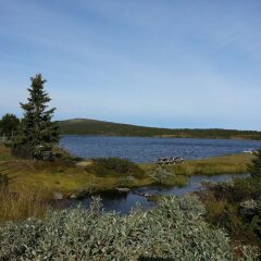 Отель Lillehammer Fjellstue фото 4