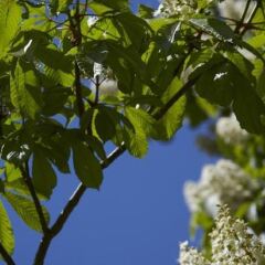 Отель Sinatur Hotel Haraldskær Дания, Вайле - отзывы, цены и фото номеров - забронировать отель Sinatur Hotel Haraldskær онлайн фото 3