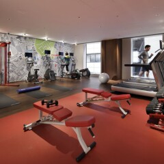 Отель Hyatt Centric Ginza Tokyo Япония, Токио - отзывы, цены и фото номеров - забронировать отель Hyatt Centric Ginza Tokyo онлайн фитнесс-зал