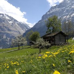 Отель Aspen Alpine Lifestyle Hotel Швейцария, Гриндельвальд - отзывы, цены и фото номеров - забронировать отель Aspen Alpine Lifestyle Hotel онлайн фото 5