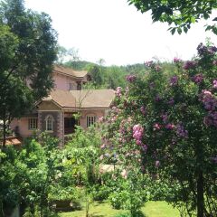 Отель Sapa Garden Bed and Breakfast Вьетнам, Шапа - отзывы, цены и фото номеров - забронировать отель Sapa Garden Bed and Breakfast онлайн фото 11