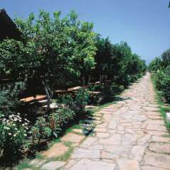 Hotel Ozlem Garden - All Inclusive фото 24