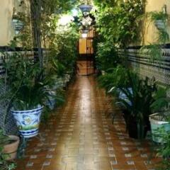 Отель Hostal Atenas фото 10